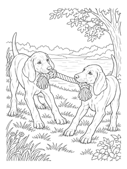 Two lively pups play by the lake in this weimaraner coloring page.