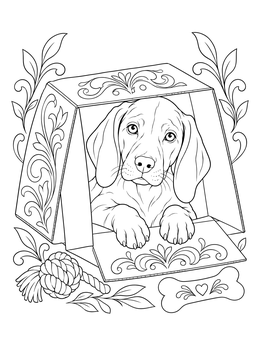 A cute pup rests inside an open cardboard box in this weimaraner coloring page.