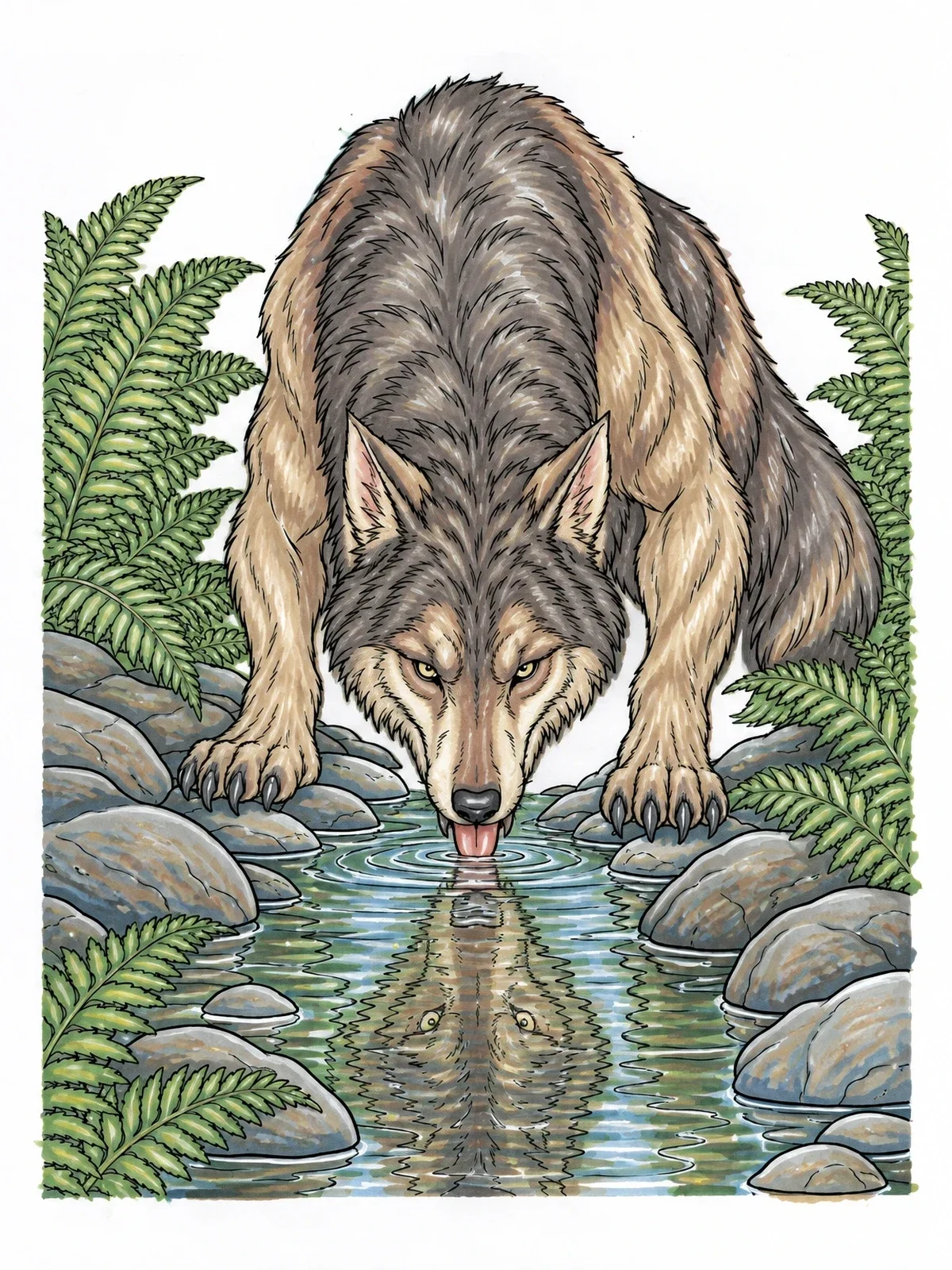 Colored example of the Werewolf Drinking From Forest Stream coloring page