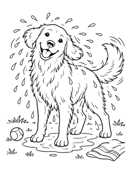 A happy golden retriever coloring page showing a wet pup shaking off water droplets.