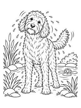Free printable Wet Labradoodle Shaking Off Water coloring page