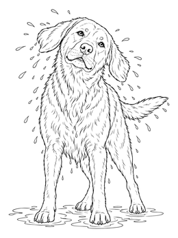 A wet dog shaking droplets off in this detailed labrador retriever coloring page.