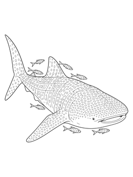 Free printable Whale Shark And Pilot Fish coloring page