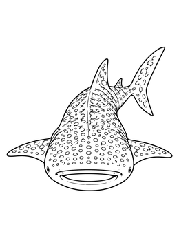 Free printable Swimming Whale Shark Front View coloring page