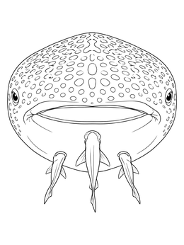 Free printable Front View Of Whale Shark And Remoras coloring page