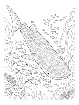 Free printable Whale Shark Gliding Through Ocean Trench coloring page