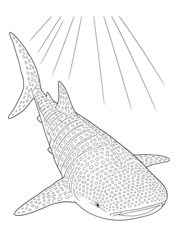 Free printable Whale Shark Gliding In Sunbeams coloring page
