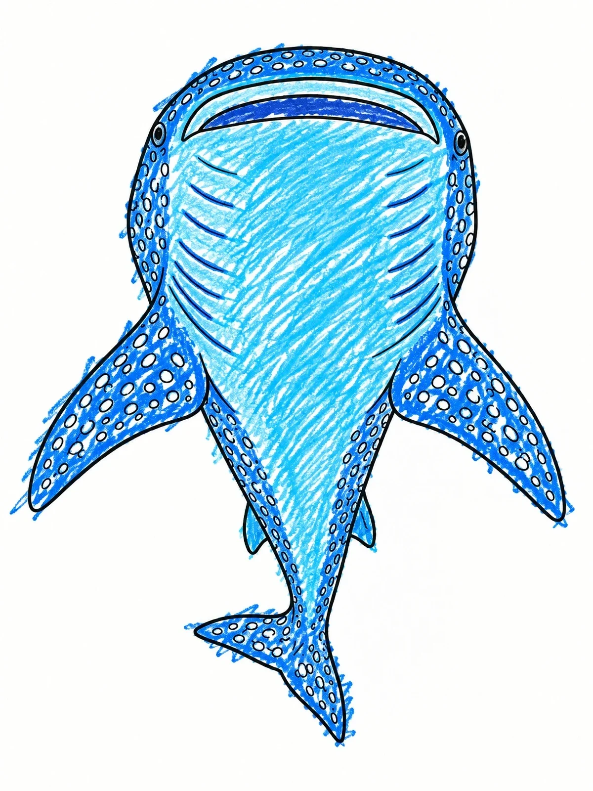 Colored example of the Underside View Of Whale Shark coloring page