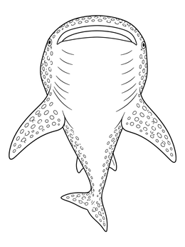 Free printable Underside View Of Whale Shark coloring page