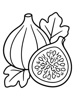 Free printable Whole And Sliced Fig Fruit coloring page