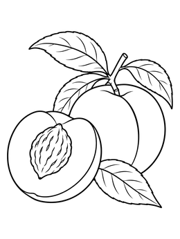 A detailed peaches coloring page featuring a whole peach and a half with a pit.