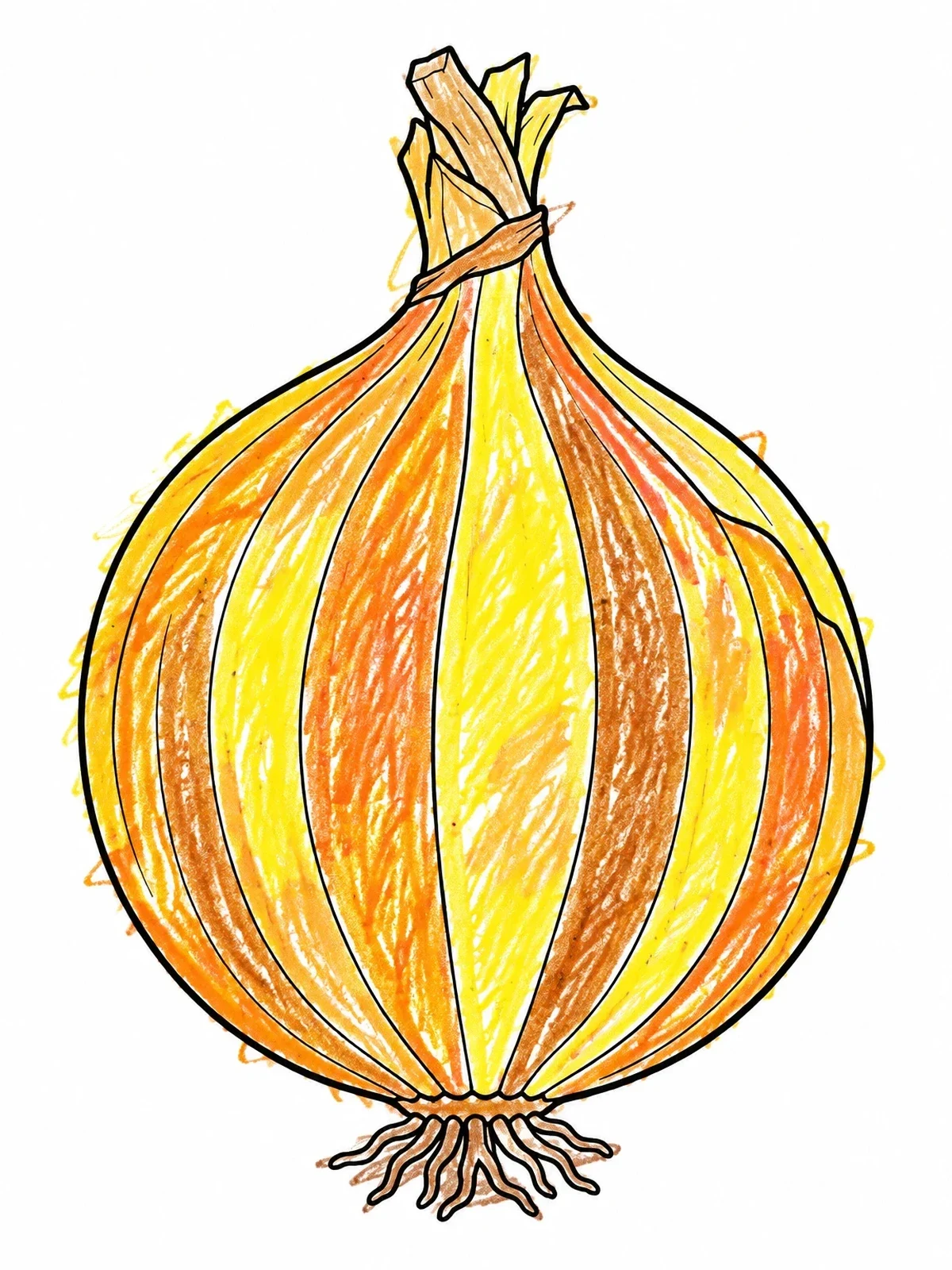 Colored example of the Whole Fresh Onion Bulb coloring page