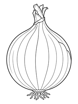 Detailed line art on this onion coloring page shows roots and skin layers.