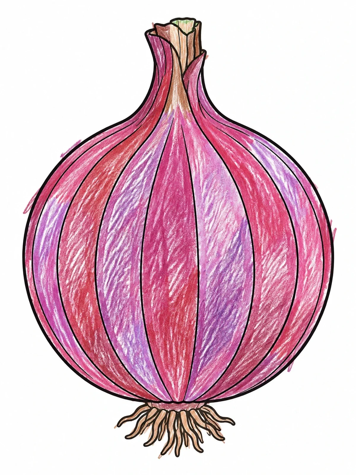 Colored example of the Whole Fresh Onion Bulb coloring page