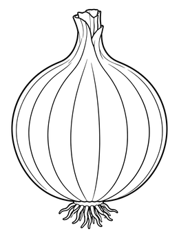 A detailed onion coloring page featuring a plump bulb with roots and stem.