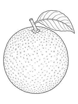 A detailed orange coloring page featuring a textured whole fruit with a stem and leaf.