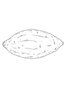 A detailed sweet potatoes coloring page featuring a single fresh raw tuber.