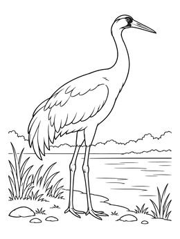 Free printable Graceful Whooping Crane By The Water coloring page