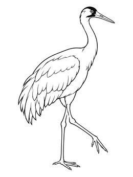 Free printable Graceful Whooping Crane Stepping Forward coloring page