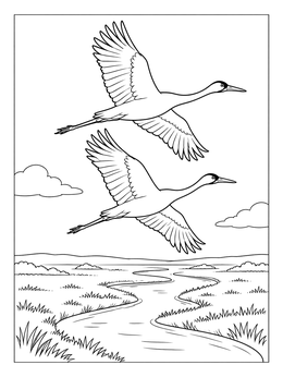 Free printable Whooping Cranes Flying Over River coloring page
