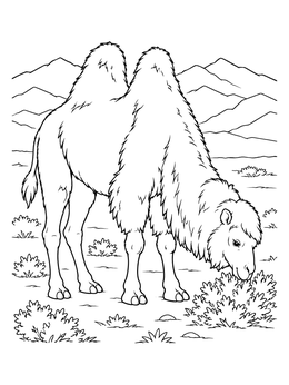 A wild two-humped camel coloring page grazing on desert shrubs with mountains.