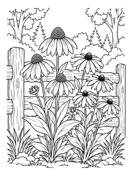 Blooming coneflowers beside a rustic fence in this wild flower coloring page.