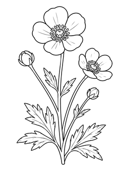 Free printable Blooming Meadow Buttercup Flower coloring page