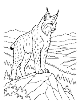 A lynx coloring page showing a wild cat on a boulder with a forest landscape.