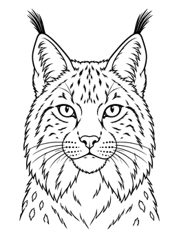 A wild lynx coloring page with tufted ears and spotted fur details.