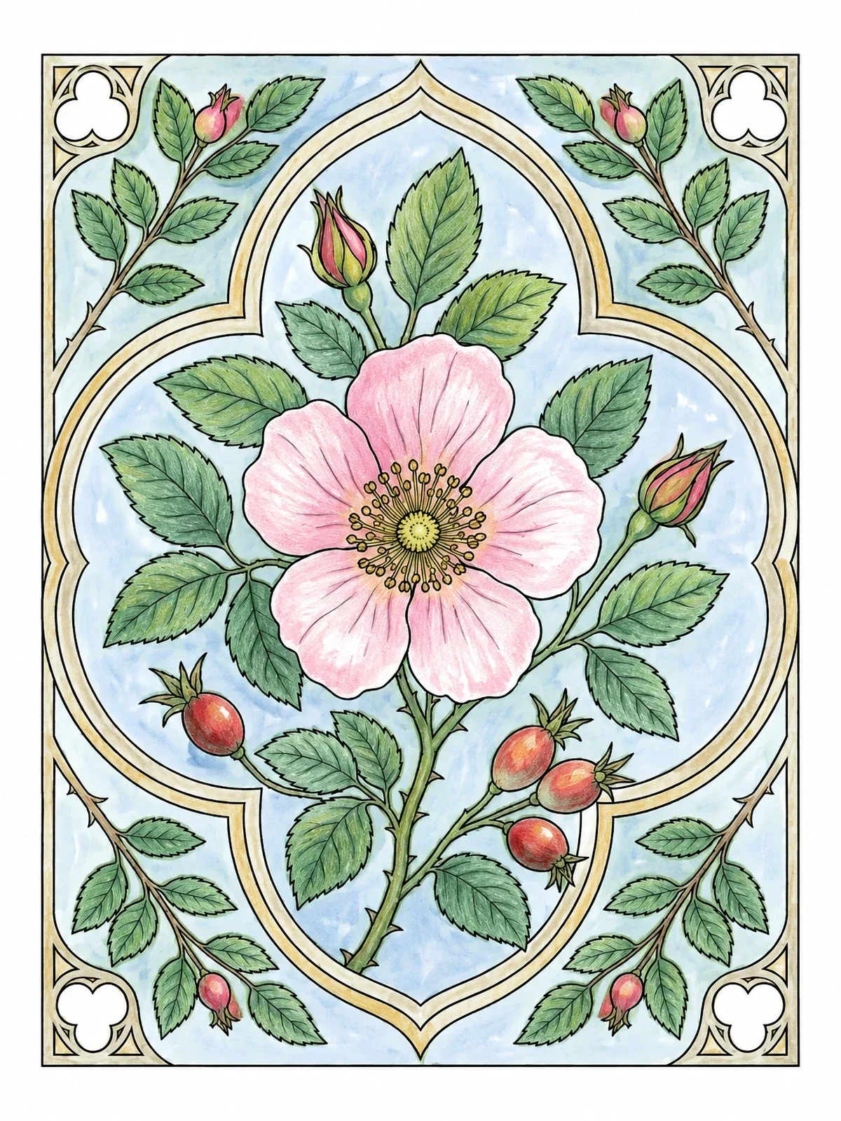 Colored example of the Wild Rose In Gothic Window Frame coloring page