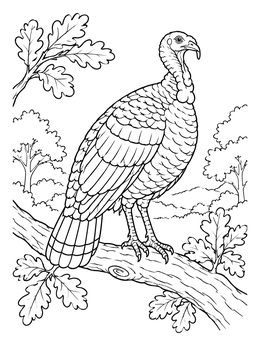 Wild Turkey on Oak Branch coloring page