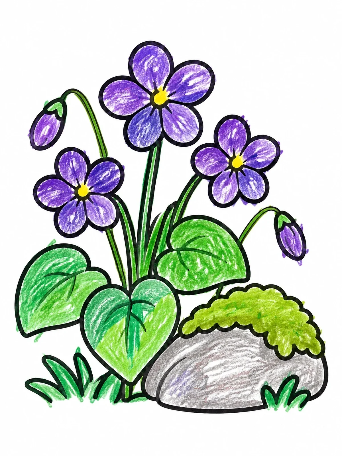 Colored example of the Wild Violet Flowers Beside A Stone coloring page