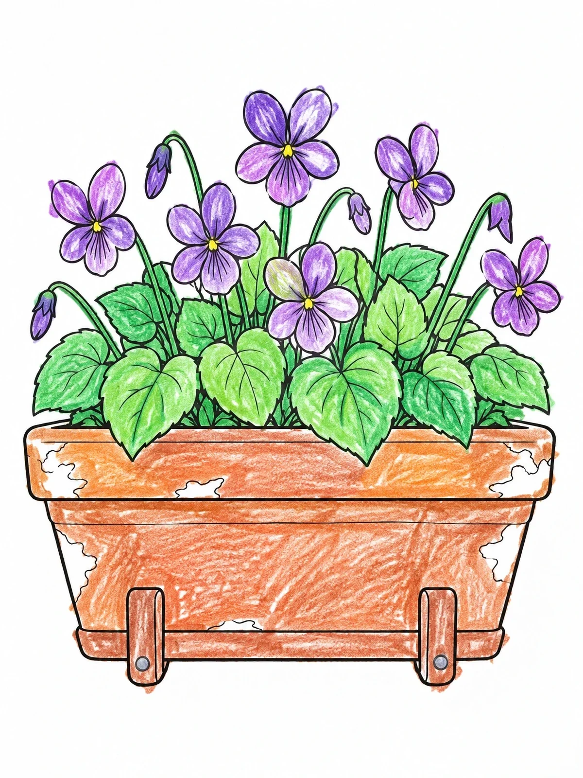 Colored example of the Wild Violets In Window Box coloring page