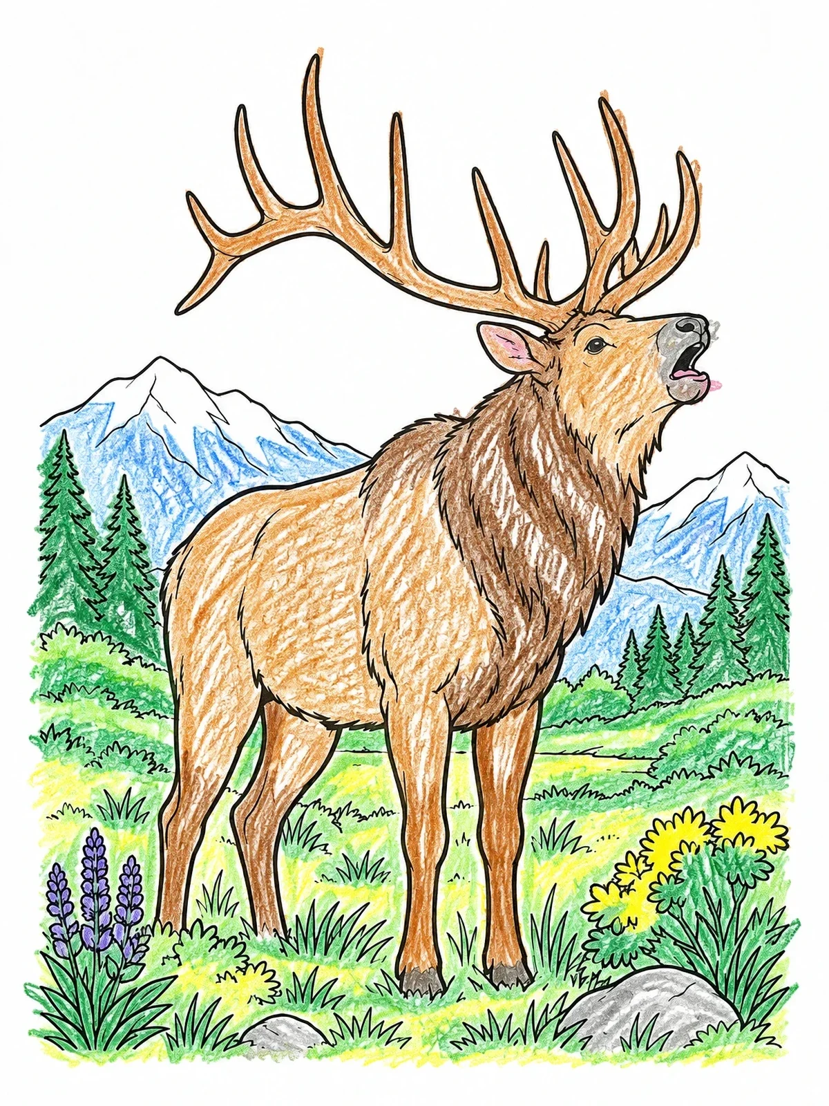 Colored example of the Bugling Bull Elk In Mountain Meadow coloring page