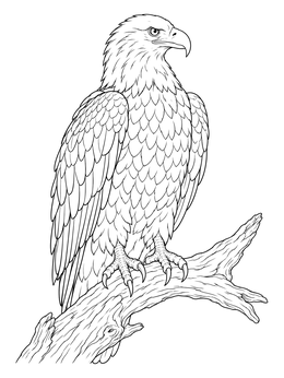 Free printable Majestic Bald Eagle On Branch coloring page