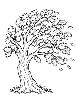 A windswept oak tree in this storm coloring page with leaves blowing away.