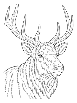 A realistic winter animals coloring page featuring a detailed portrait of an elk with large antlers.