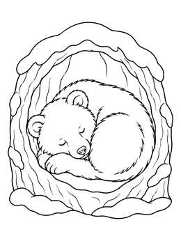 A peaceful winter bear coloring page featuring a sleeping cub curled up in a snowy hollow.