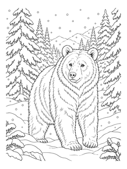 A detailed winter bear coloring page showing a furry bear surrounded by snow-covered pine trees.