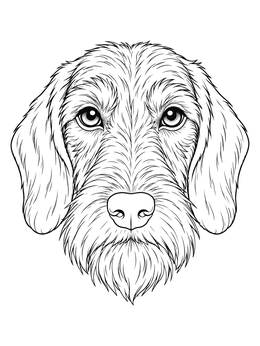 A detailed wirehaired dachshund coloring page showing a close-up dog portrait.