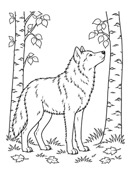 A serene wolf coloring page featuring a wolf standing among tall birch trees and fallen leaves.