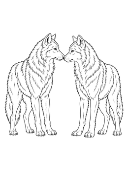 A gentle wolf coloring page depicting two detailed wolves standing face to face and touching noses.