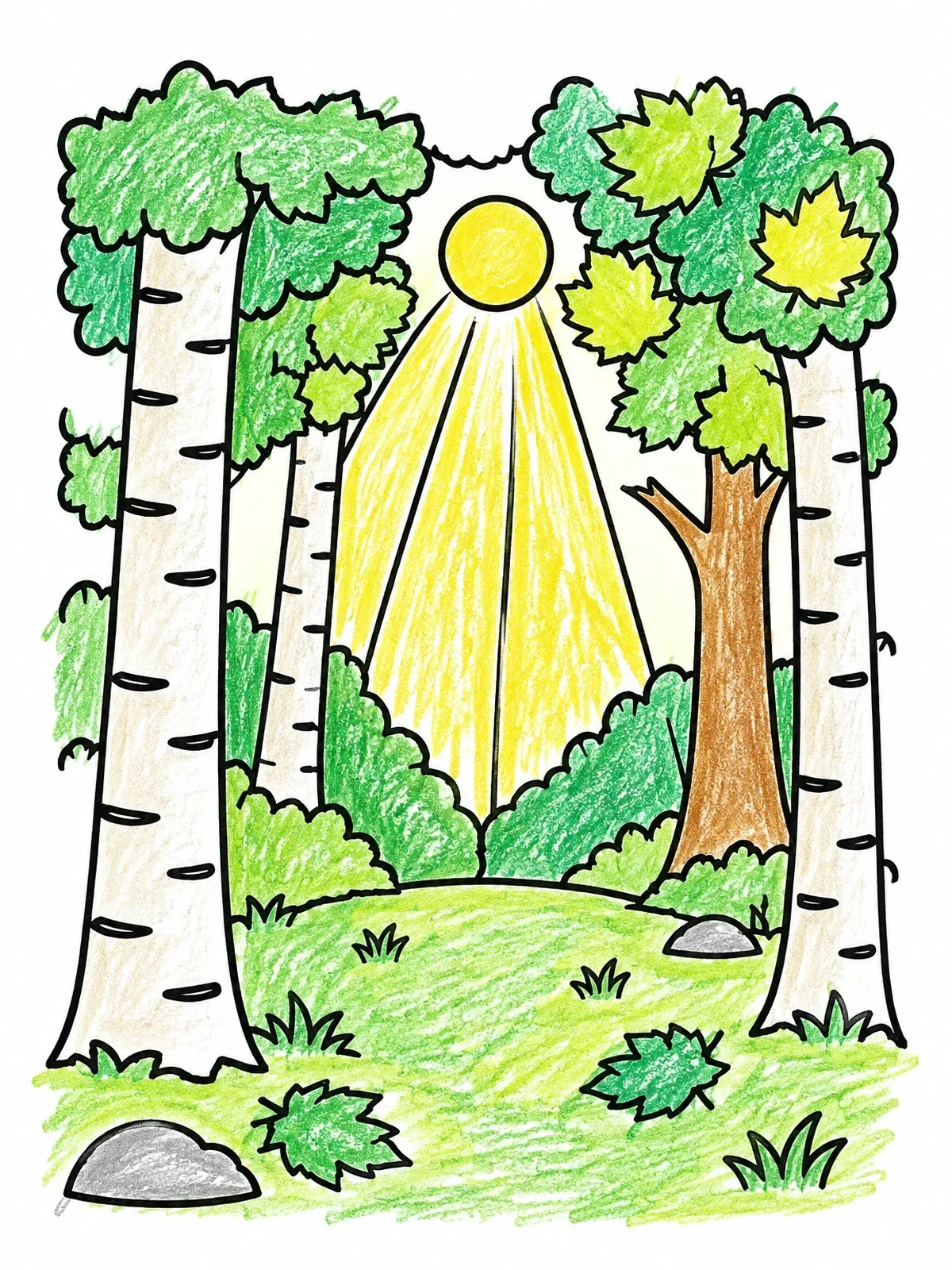 Colored example of the Sunbeams Through The Forest Trees coloring page