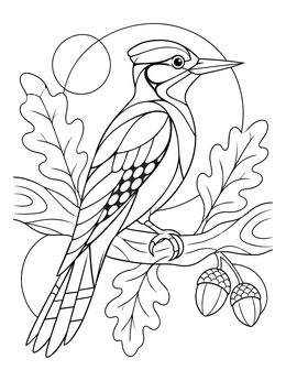Stylized woodpecker coloring page perched gracefully on an oak branch with leaves and acorns.