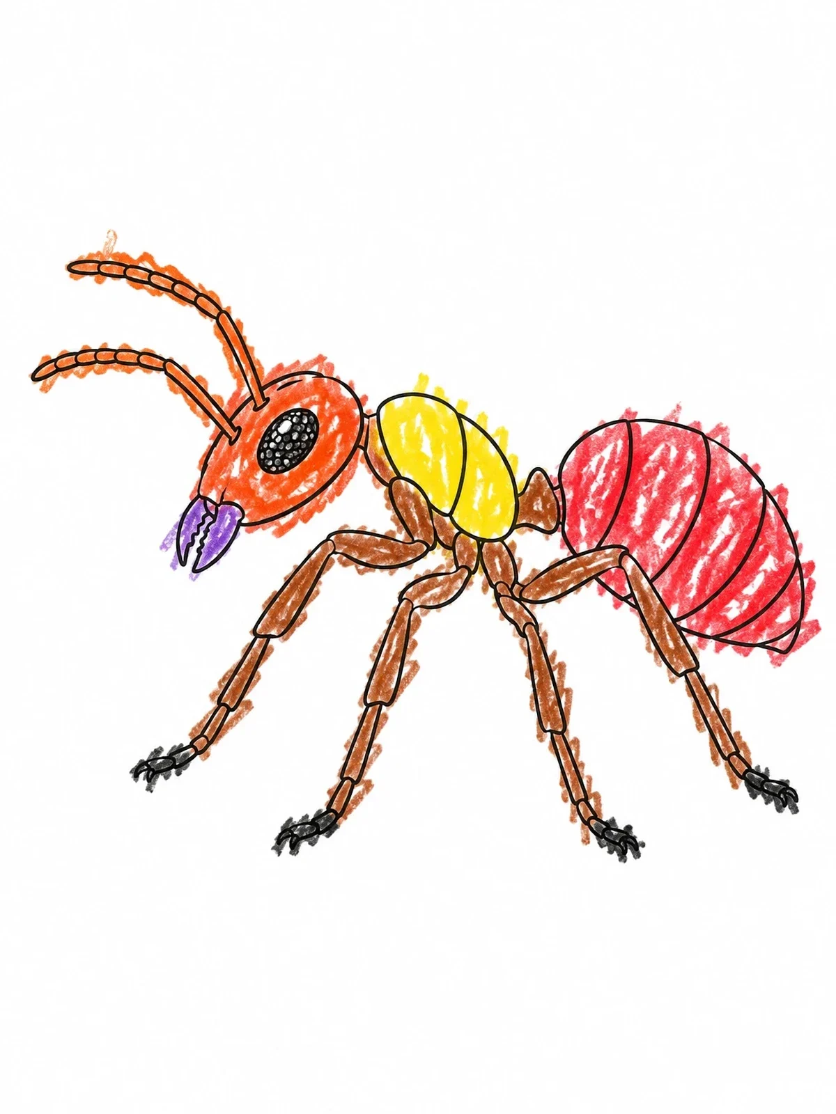 Colored example of the Worker Ant Profile Line Art coloring page