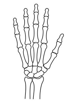 Free printable Hand Skeleton Outline Illustration coloring page