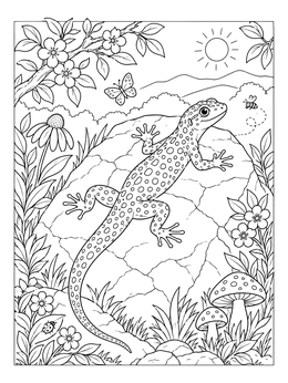 Free printable Spotted Lizard Sunning On Boulder coloring page