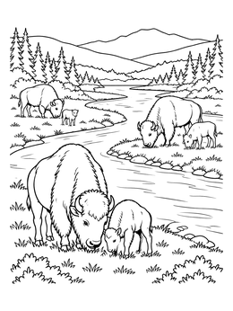 Free printable Bison Herd By The River coloring page