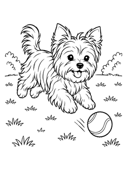 Free printable Playful Yorkshire Terrier Chasing Ball coloring page