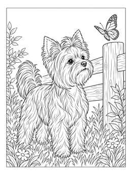 Free printable Yorkshire Terrier And Butterfly By Fence coloring page